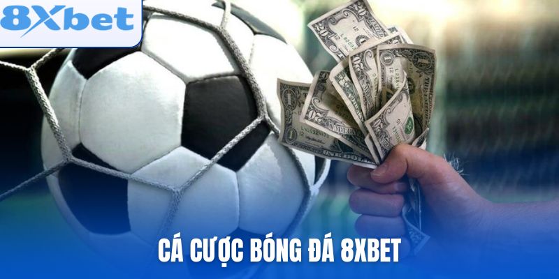 Cá Cược Bóng Đá 8xbet: Kinh Nghiệm Từ Cao Thủ