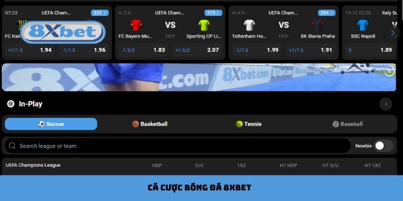 Cá cược bóng đá 8xbet là gì? Những khái niệm cơ bản cần hiểu đúng