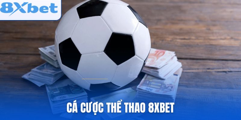 Cá Cược Thể Thao 8xbet Có Phù Hợp Người Mới Không